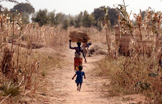 La telemedicina arriva fino agli angoli più remoti della Nigeria